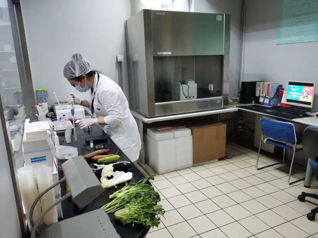 乌尔禾食品检测实验室装修方案